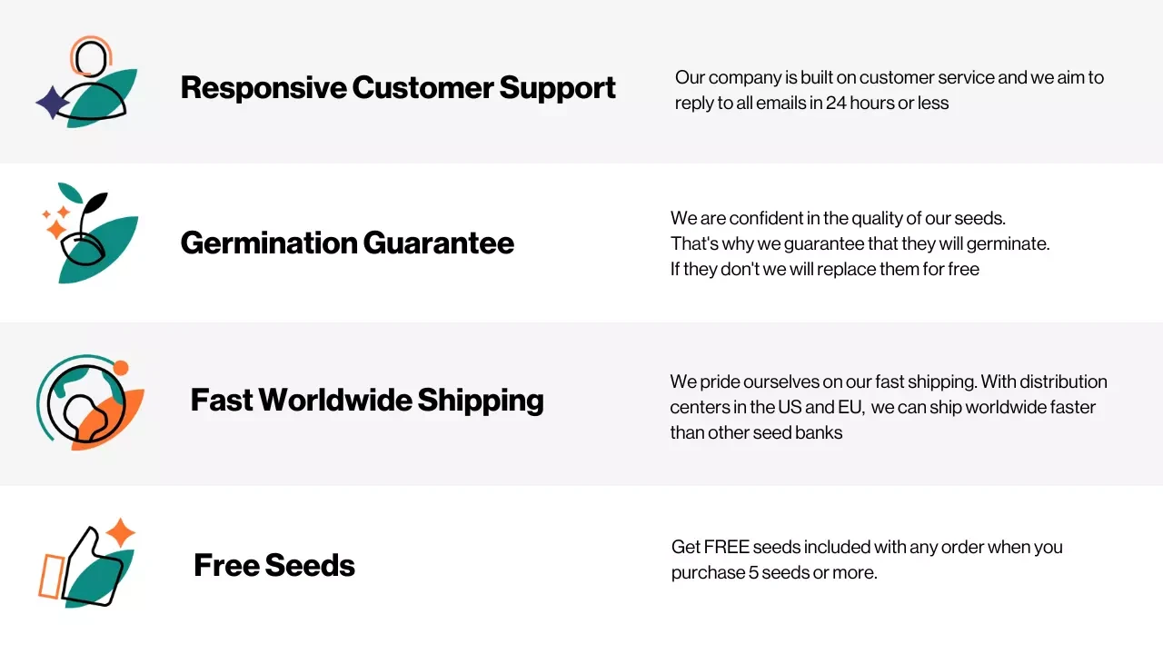 Why buy Sativa Seeds from WeedSeedsExpress